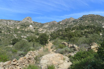 Avancem per un terreny rocós.