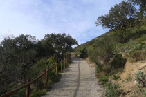 Continuem la ruta per una pista que surt de l´ermita en direcció O.