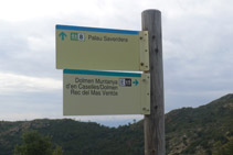 Deixem un moment el camí principal per visitar el dolmen de la Muntanya d´en Caselles.