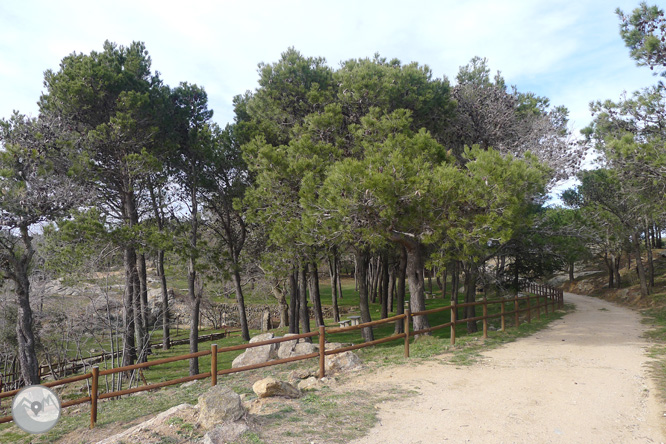 Itinerari circular de Palau-saverdera a Sant Onofre 1 