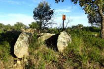 Dolmen de la Verneda.