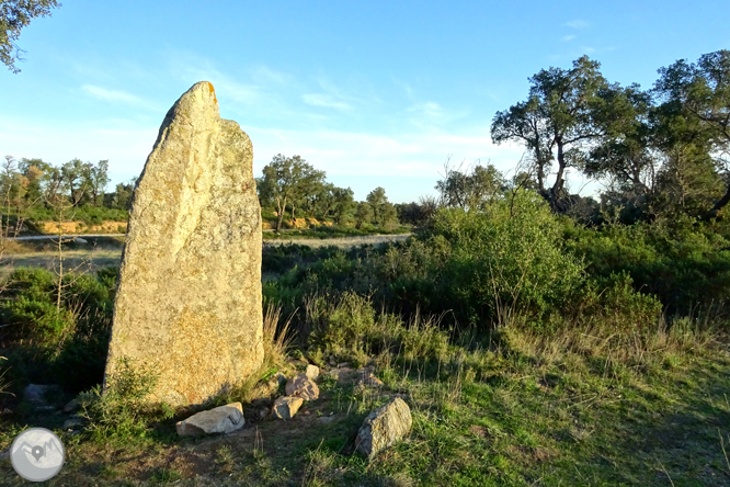 Itinerari megalític de Capmany 1 