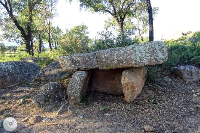 Itinerari megalític de Capmany 1 