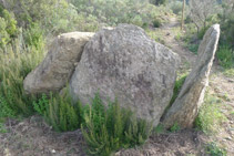 Dolmen de la Fontasia.