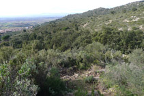 El camí ens porta cap al rec de la Veta Negra.