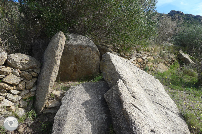 Itinerari megalític de la Fontasia a Palau-saverdera 1 