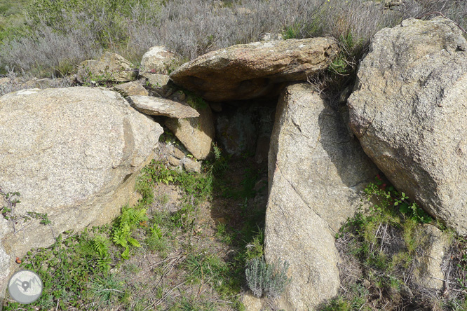 Itinerari megalític de la Fontasia a Palau-saverdera 1 