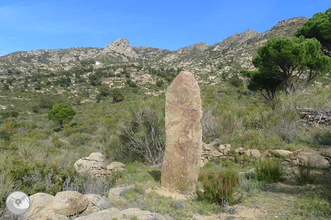 Itinerari megalític de la Fontasia a Palau-saverdera 1 