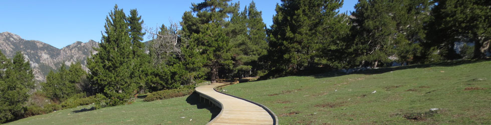 Itinerari adaptat fins al mirador dels Orris