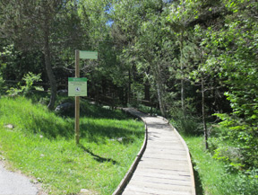 Itinerari adaptat del pont de la Gorga