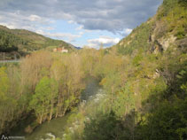 Vistes sobre el Segre.