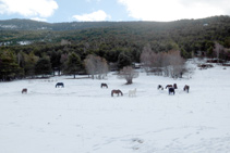 Arribant a les bordes de Virós.