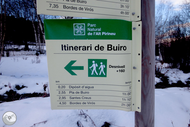 Itinerari pel Bosc de Virós 1 