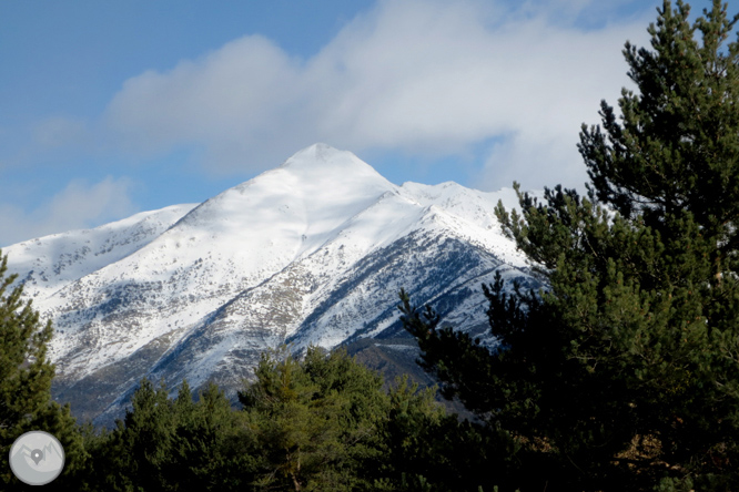 Itinerari pel Bosc de Virós 1 