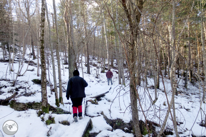 Itinerari pel Bosc de Virós 1 