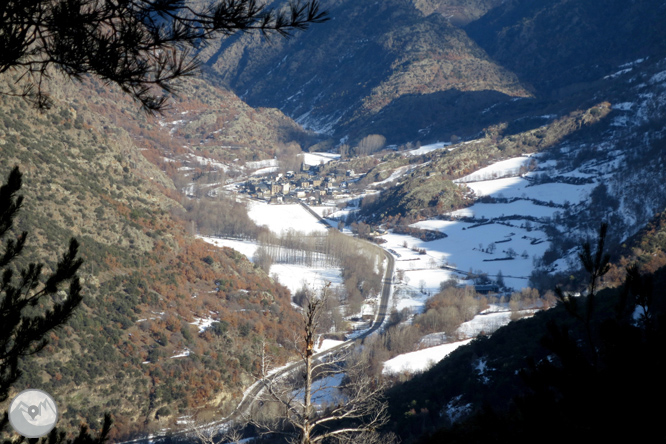 Itinerari pel Bosc de Virós 1 