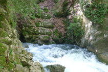 L´aigua brolla per entre les roques de la muntanya.