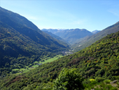 La fageda de Carlac a Bausen