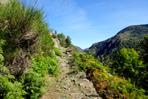 El camí a Carlac.