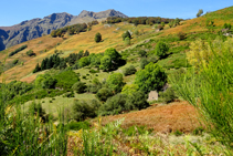 Bordes en ruïnes amb la serra Vacanera al fons.