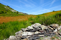 Pastures envaïdes pel falgar i el bàlec al coret de Pan.