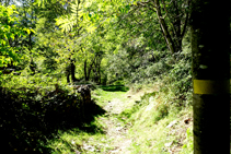 Baixant pel camí de les bordes del Cap dels Camps.