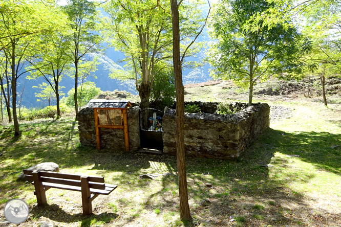 La fageda de Carlac a Bausen 1 