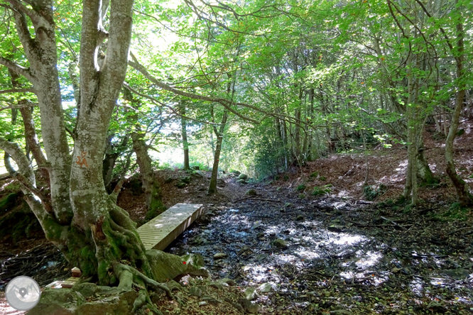 La fageda de Carlac a Bausen 1 