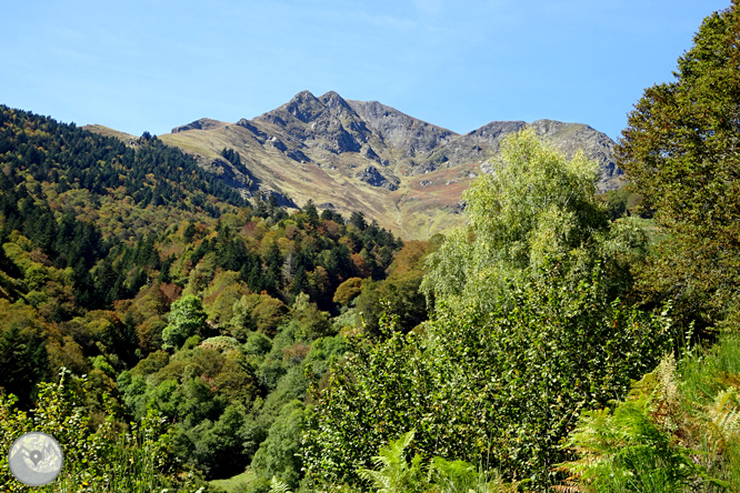 La fageda de Carlac a Bausen 1 