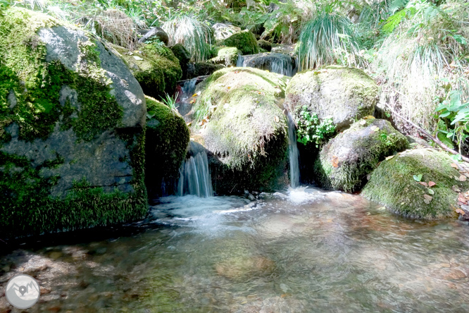 La fageda de Carlac a Bausen 1 