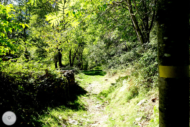 La fageda de Carlac a Bausen 1 