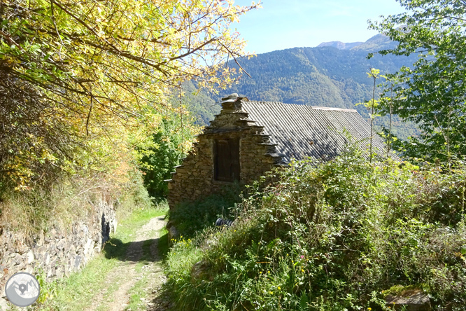 La fageda de Carlac a Bausen 1 