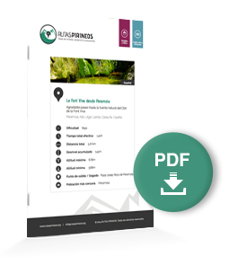 pdf-ruta