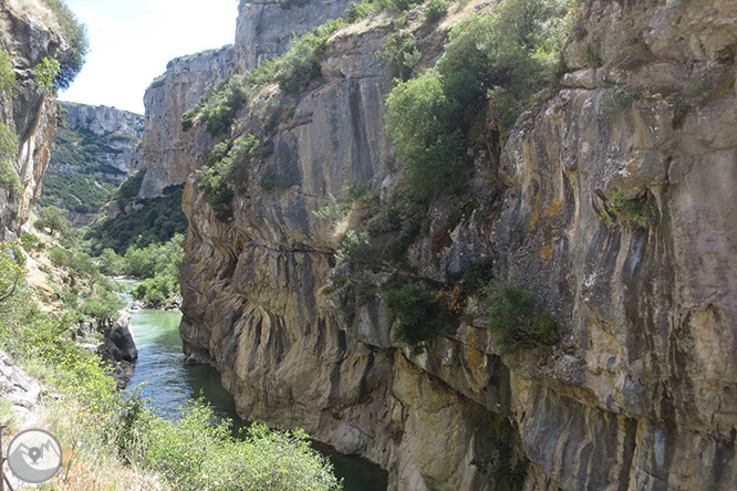 La Foz de Lumbier (passejada curta) 1 