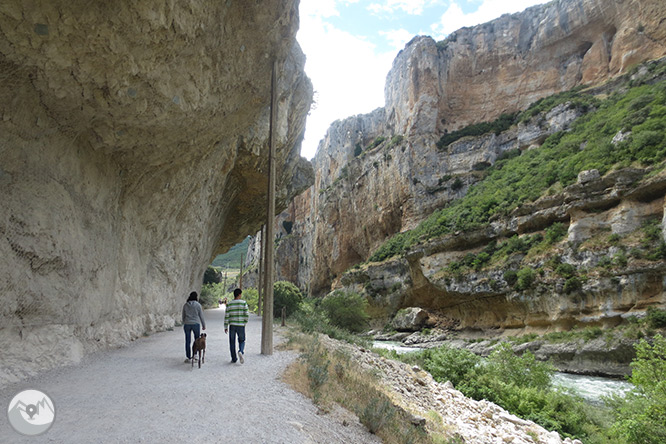 La Foz de Lumbier (passejada curta) 1 