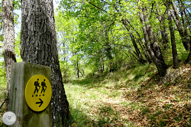 La Geganta Adormida, itinerari històric pel pla de Corts 1 