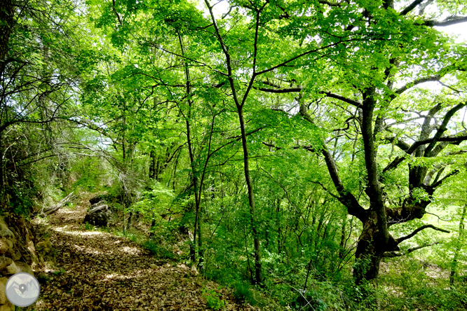 La Geganta Adormida, itinerari històric pel pla de Corts 1 