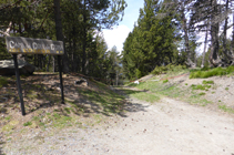 Camí del coll de Gomà.