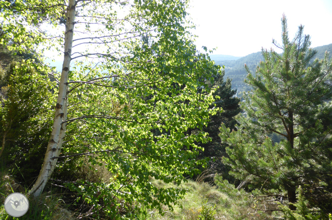 De la Massana a la collada de l