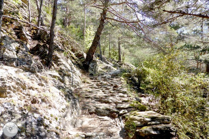 De la Massana a la collada de l