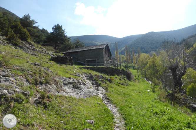 De la Massana a la collada de l