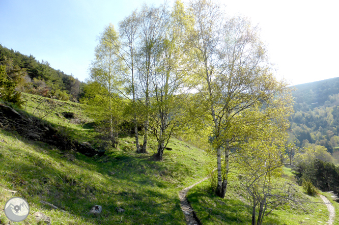 De la Massana a la collada de l