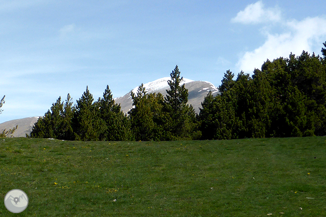 De la Massana a la collada de l