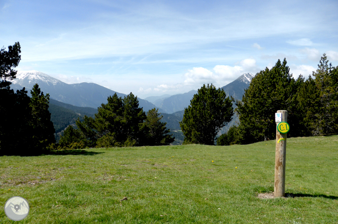 De la Massana a la collada de l