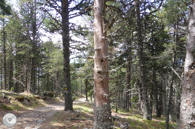 De la Massana a la collada de l