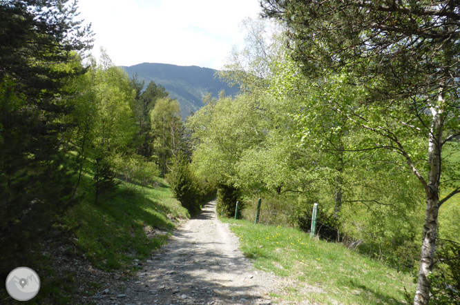 De la Massana a la collada de l