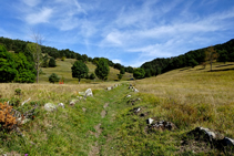 Caminant entre prats de dall.