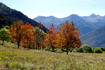 Colors de tardor a la Vall d´Aran.