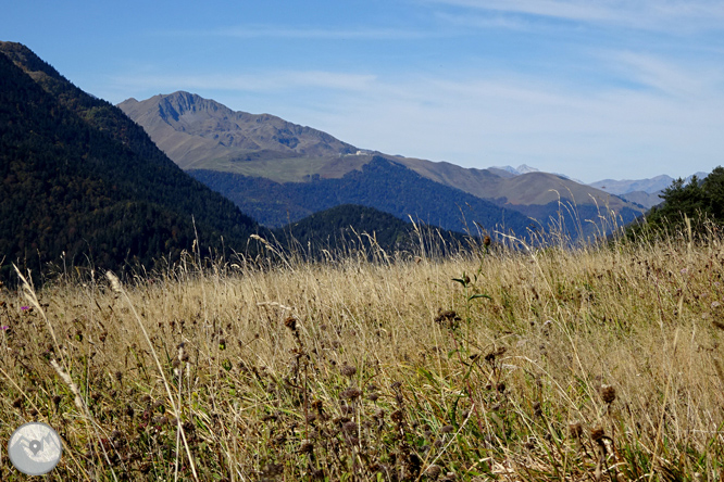 La mina Victòria i la bassa d