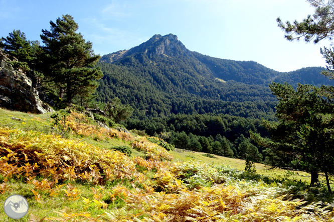 La mina Victòria i la bassa d